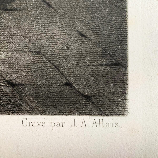 Le Médecin Bienfaisant : Gravure de Jean-Alexandre Allais d’après Pierre Duval Le Camus. – Image 7